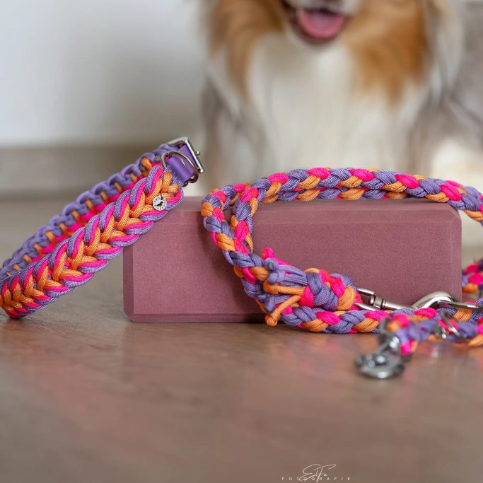 Sofort Verfügbare Leinen und Halsbänder für Hunde aus Paracord. Super stabil und stylisch