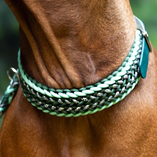 Handgemachtes Hundehalsband mit geflochtenem Muster – kontrastreiche Farben, hochwertig und bequem für den Hund