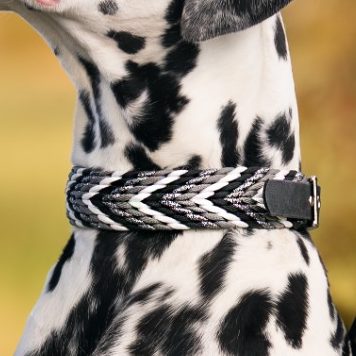 Handgemachtes Hundehalsband mit geflochtenem Muster – kontrastreiche Farben, hochwertig und bequem für den Hund
