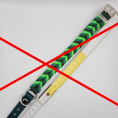 Anleitung zum richtigen Messen für ein passgenaues Hundehalsband – Schritt-für-Schritt erklärt