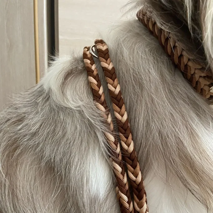 Hund trägt Hundehalsband und Leinen Set in verschiedenen Brauntönen aus Paracord. Handgefertigt in München