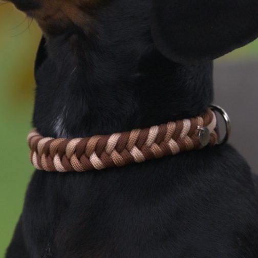 Handgemachtes Hundehalsband aus Paracord und Biothane im geflochtenem Muster Little Fishtail. Stilvoll und individuell