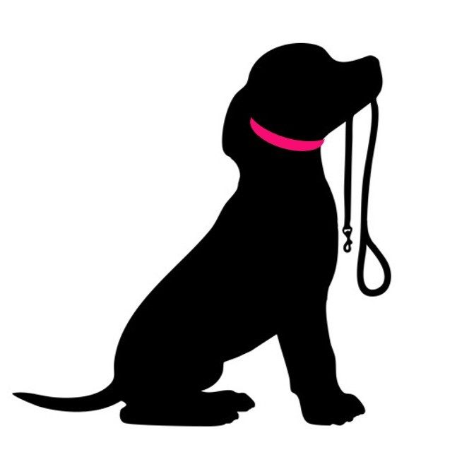 Anleitung zum richtigen Messen für ein passgenaues Hundehalsband – Schritt-für-Schritt erklärt