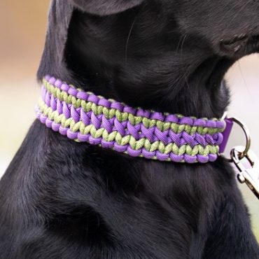 Handgemachtes Hundehalsband mit geflochtenem Muster – kontrastreiche Farben, hochwertig und bequem für den Hund