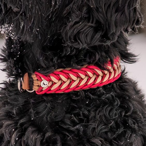 Handgemachtes Hundehalsband mit geflochtenem Muster – kontrastreiche Farben, hochwertig und bequem für den Hund