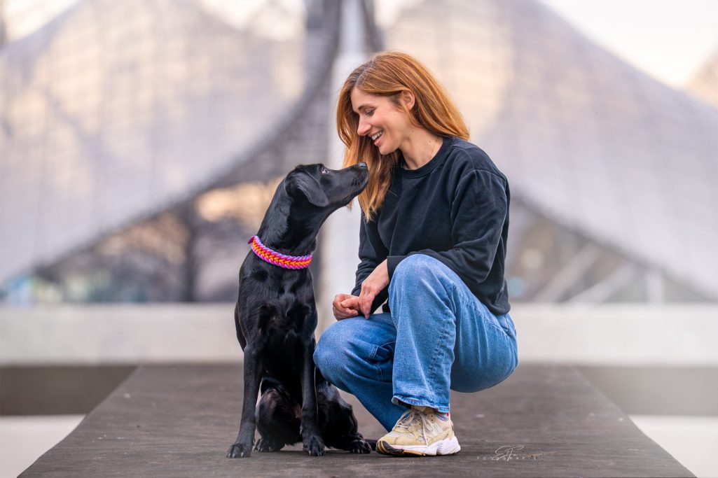 Hund trägt handgemachtes, geflochtenes Halsband von Phoebeleinen – stilvolles und bequemes Hundezubehör.  Made in Germany 