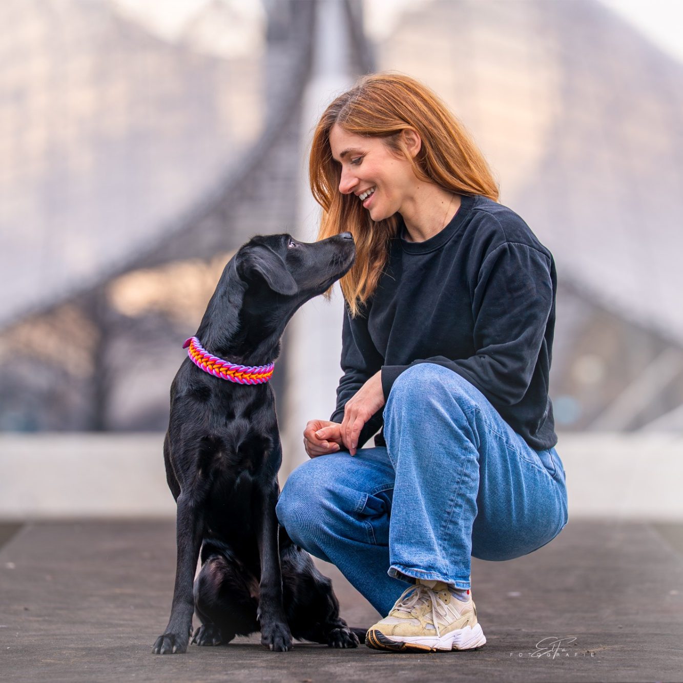 Hund trägt handgemachtes, geflochtenes Halsband von Phoebeleinen – stilvolles und bequemes Hundezubehör.  Made in Germany 