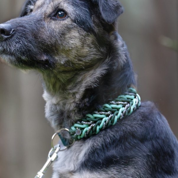 Handgemachtes Hundehalsband mit geflochtenem Muster – kontrastreiche Farben, hochwertig und bequem für den Hund