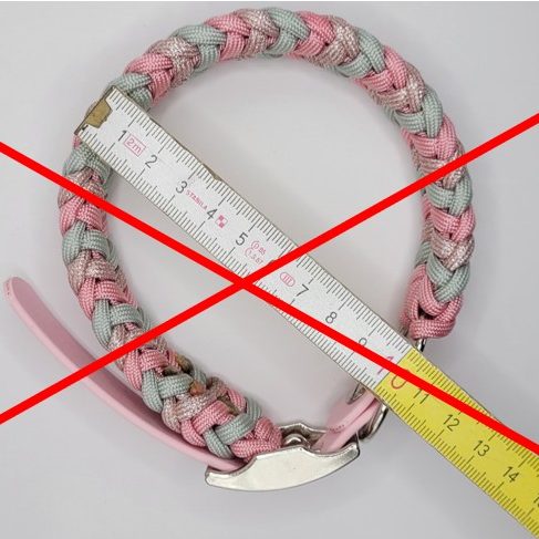 Anleitung zum richtigen Messen für ein passgenaues Hundehalsband – Schritt-für-Schritt erklärt